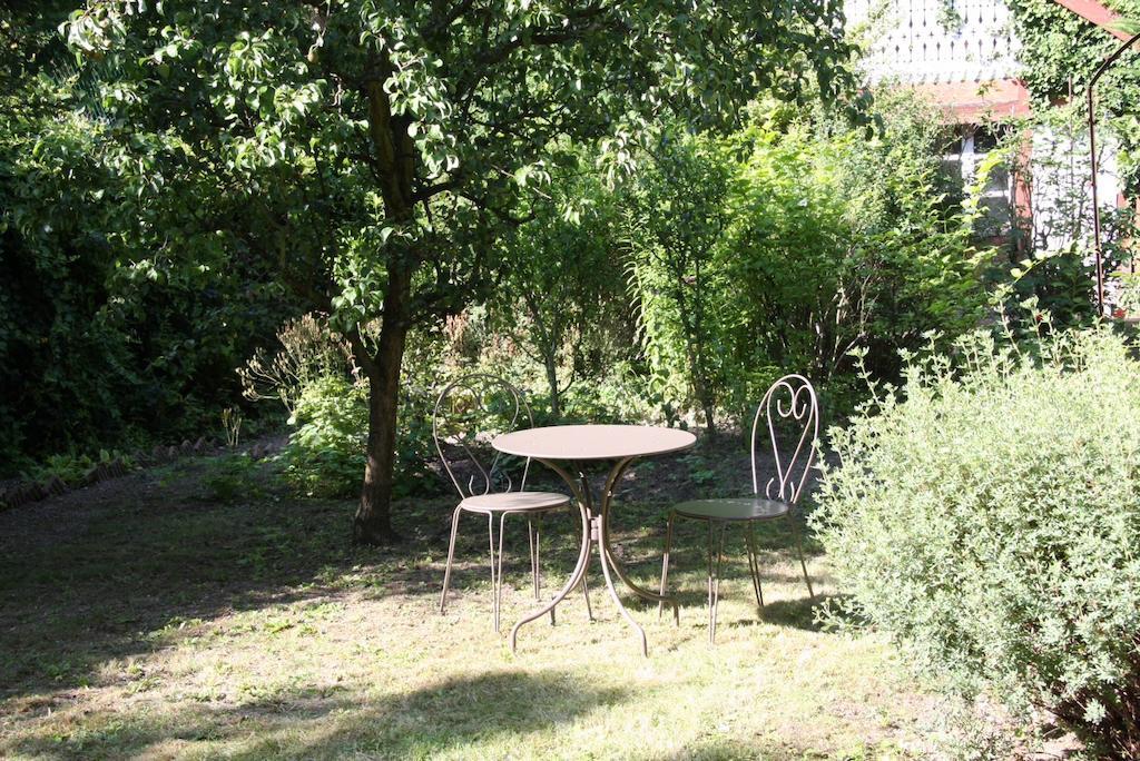 科尔马Studio De La Petite Venise公寓 外观 照片